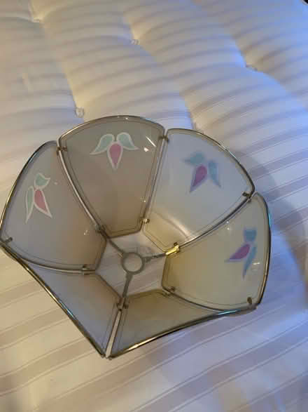 Photo of free Ceiling light shade (Baslow DE45) #2