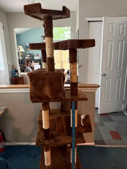 Photo of free 6 foot cat tree (Somerset, NJ) #1