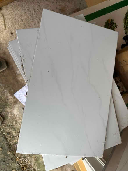 Photo of free Ceramic Tiles (Trowbridge BA14) #1