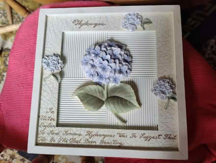 Photo of free Hydrangea 3D picture (Bedford) #1
