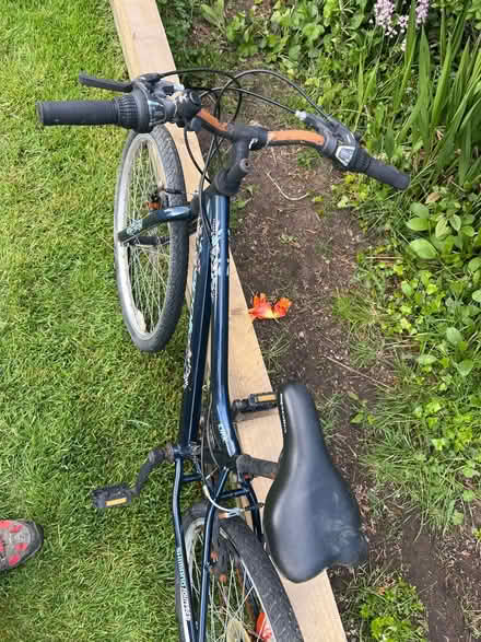Photo of free Young girls bicycle (Stoke on Trent. ST6) #2
