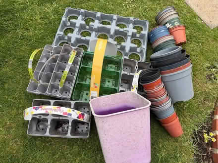 Photo of free Plastic plant pots and trays (South Harting) #1