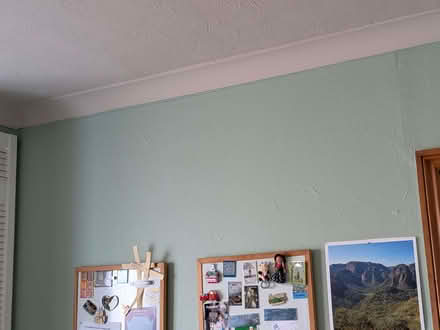 Photo of free Green matt emulsion paint for kitchens (Biggin Hill TN16) #3