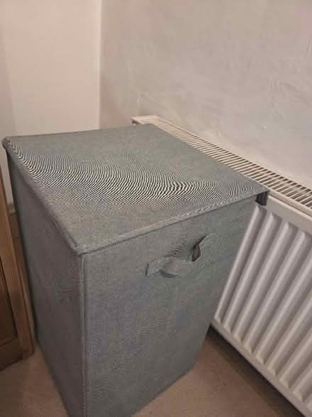 Photo of free Collapsible Laundry Basket with Lid (Hexham NE46) #1