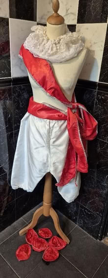 Photo of free Pirate, genie, festival, carnival costume items (Hollinswood TF3) #2