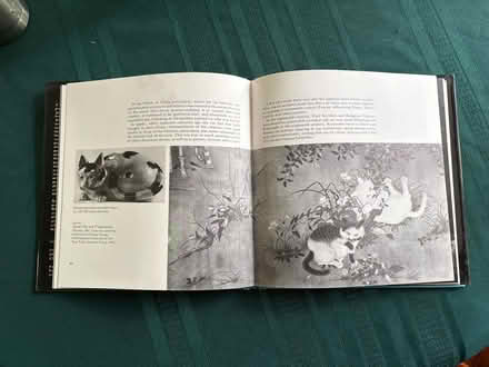 Photo of free Cat books (Croton-on-Hudson) #4