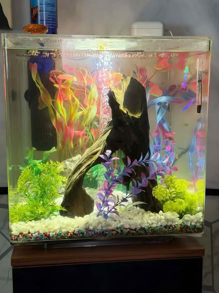 Photo of Aquarium Equipment (Chantry IP2) #1