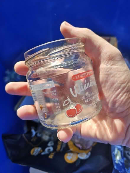 Photo of free Many Jars. Most with lids (Dunning, Chicago) #4