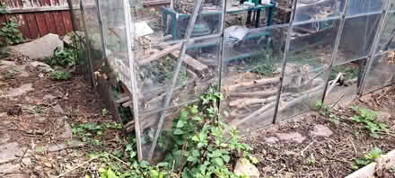 Photo of free Greenhouse (Aspley NG8) #3