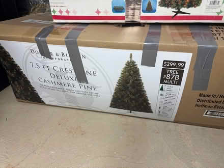 Photo of free Cashmere Pine Christmas Tree (Hannover & Ballenger) #1