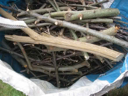 Photo of free Firewood (Old Kesgrave IP5) #3