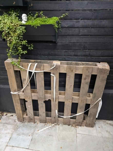 Photo of free Pallet (Brixton) #1