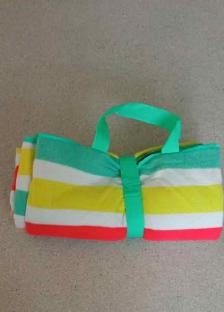 Photo of free Picnic blanket (east twickenham) #1