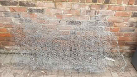 Photo of free 7 sheets of chicken wire (Braintree CM7) #1