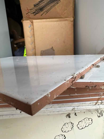 Photo of free Ceramic Tiles (Trowbridge BA14) #2