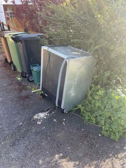 Photo of free Integrated dishwasher (North Hinksey OX2) #1