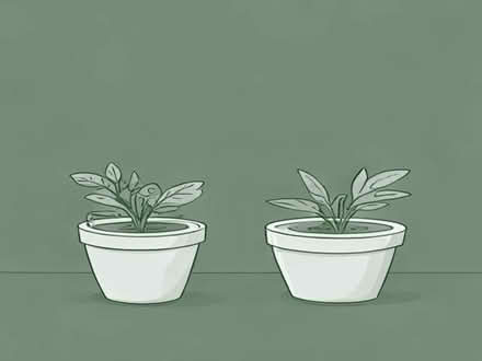 Photo of Garden Planters (Streatham SW16) #1