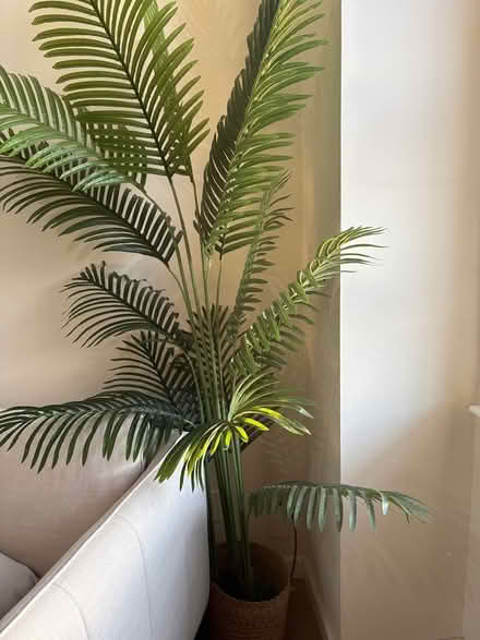 Photo of free Fake plant (Park slope) #1