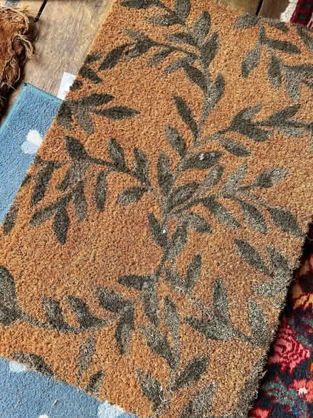 Photo of free smallish door mat (Kennington SW8) #3
