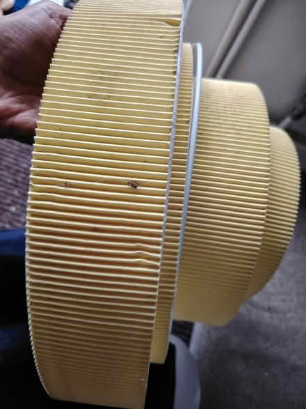 Photo of free yellow hanging lampshade (Matlock DE4) #1
