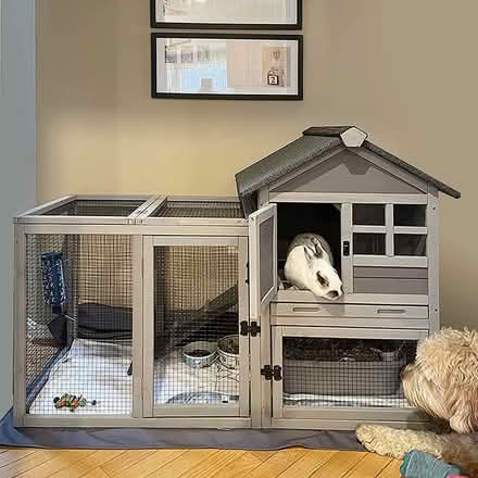 Photo of Rabbit Home (Hollywood) #1