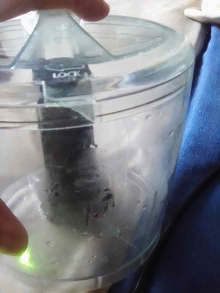 Photo of free Mini Food Processor 10031 (Hamilton Heights 10031) #3