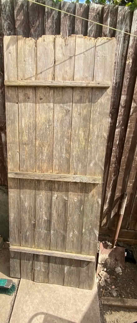 Photo of free Shed door (SE20.) #2