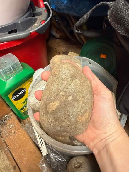 Photo of free Large decorative garden stones (Carshalton) #2