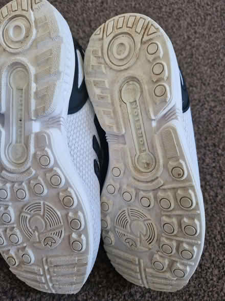 Photo of free Trainers (Currie EH14) #4
