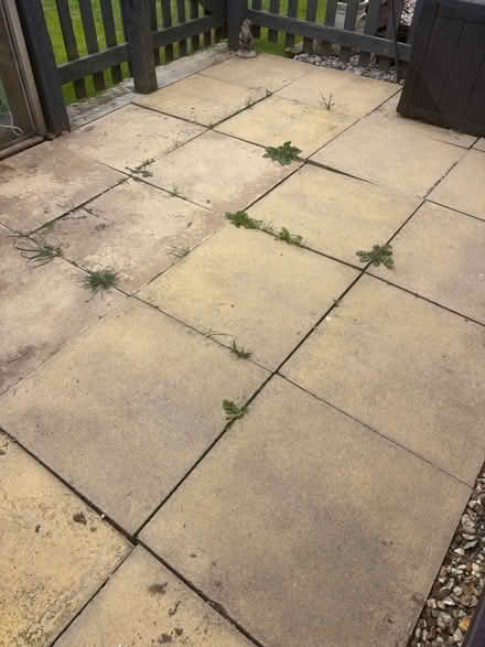 Photo of free Slabs - 600x600mm (Wellington, somerset) #2
