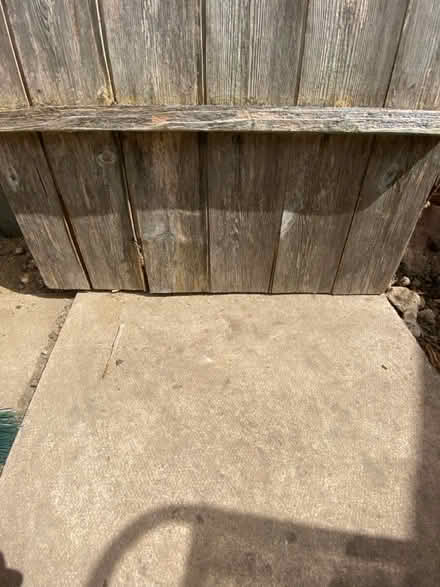 Photo of free Shed door (SE20.) #4
