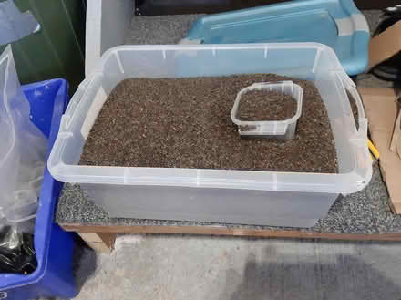 Photo of free bird seed (Kanata) #1