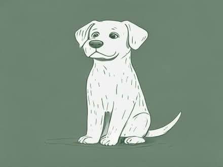 Photo of Dog Items (Droylsden M18) #1