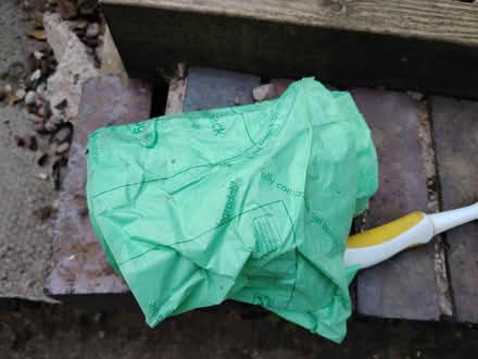 Photo of free 2 rolls of green bin liners (Matlock DE4) #1