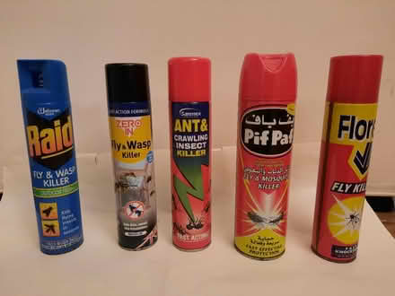 Photo of free Fly and insect killer (South hampstead NW8) #1
