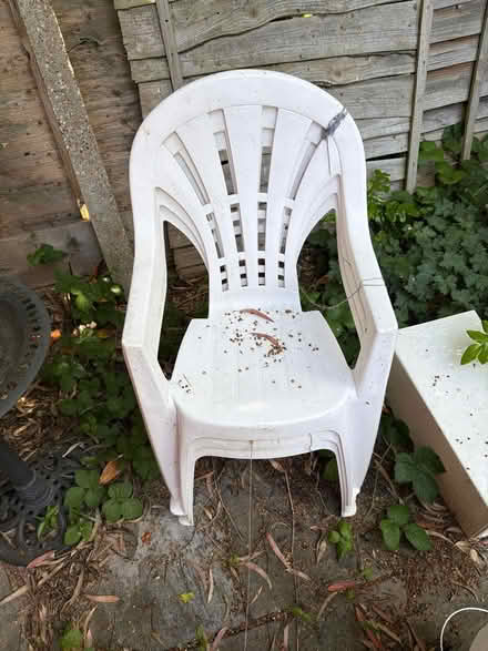 Photo of free Three plastic outdoor chairs (N20 9ar) #1