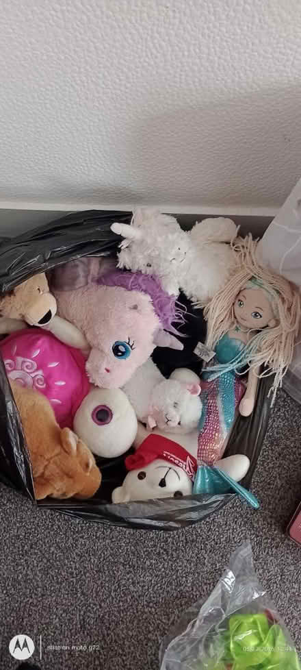 Photo of free Plush Toys (RG6) #2