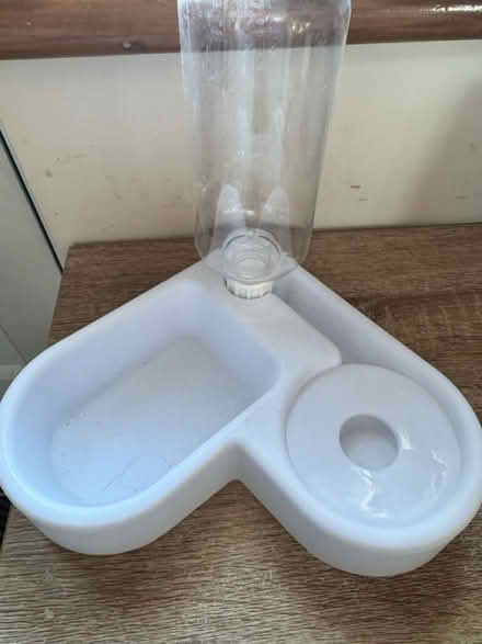 Photo of free Pet food & drink bowl (Poole BH12) #1