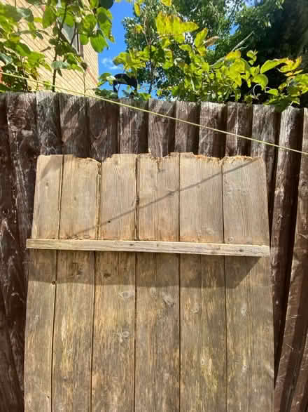Photo of free Shed door (SE20.) #3