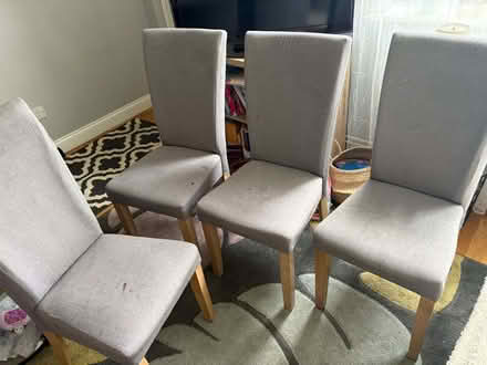 Photo of free Dining chairs (Woking GU21) #1