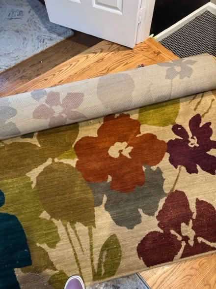 Photo of free Beautiful Rug with Some Damage 8x10 (Rockville near Bethesda) #1
