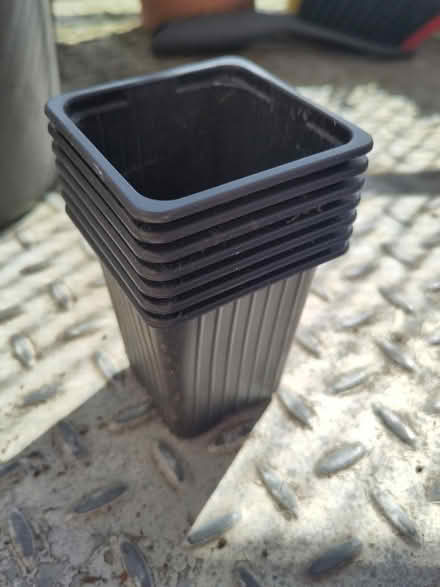 Photo of free Small plastic plant pots (South Quay E14) #1