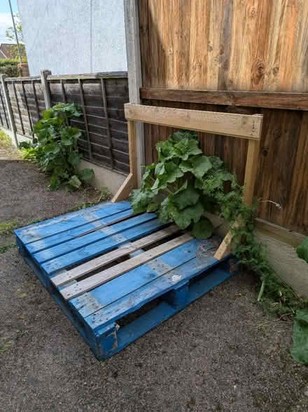 Photo of free Pallet (Stanway CO3) #1