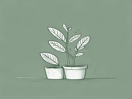 Photo of garden plants (Moulsecoomb BN2) #1