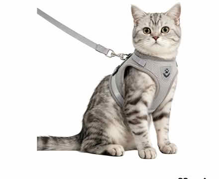 Photo of Cat harness and leash (Gu15) #1