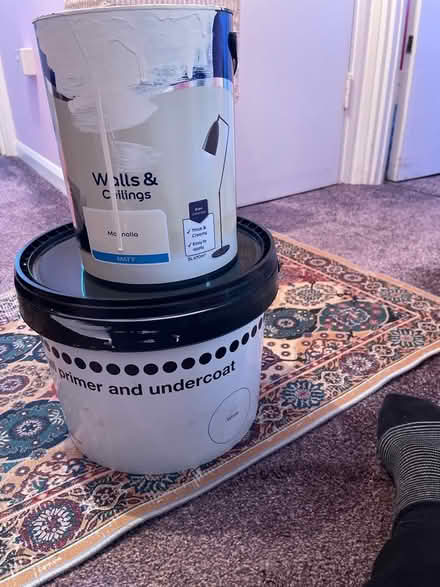 Photo of free Dulux paint & primer/undercoat (California IP3) #1