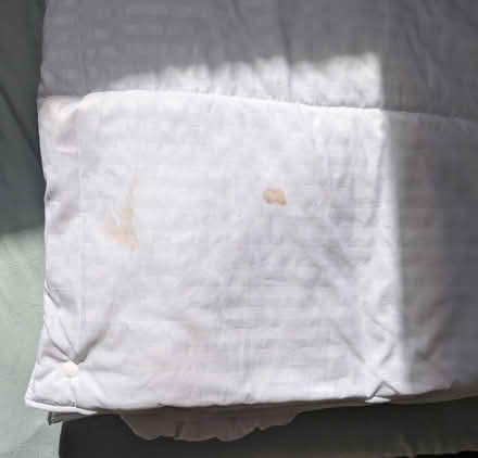 Photo of free Two King Size Duvets (BD20 Silsden) #2