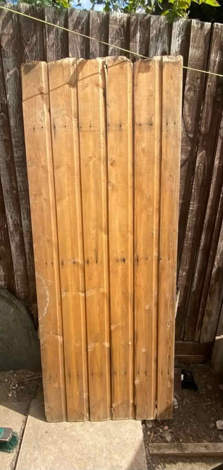 Photo of free Shed door (SE20.) #1