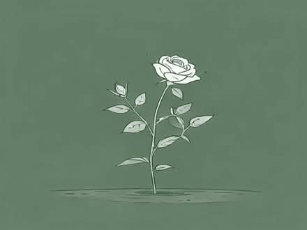Photo of Rose bush cuttings (Coventry CV1) #1