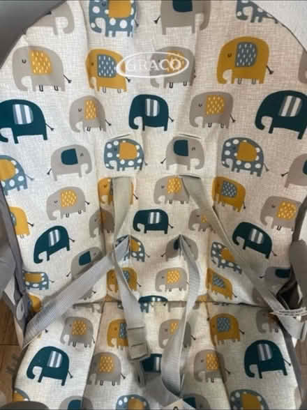 Photo of free Graco Baby Swing (Cheshunt En8) #4